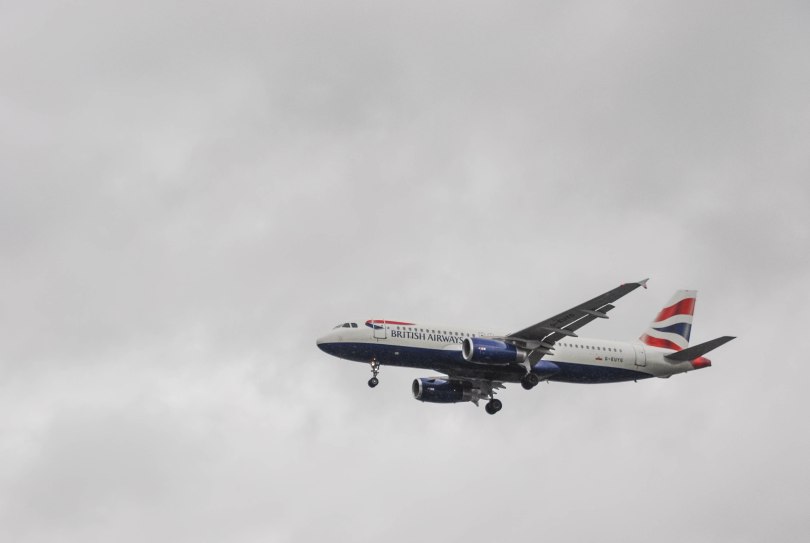 DSC--583 - コピー