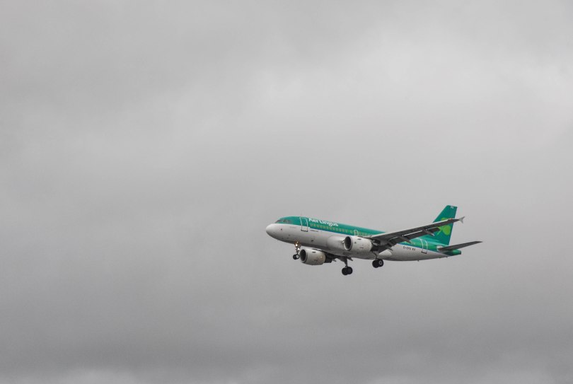 DSC--587 - コピー