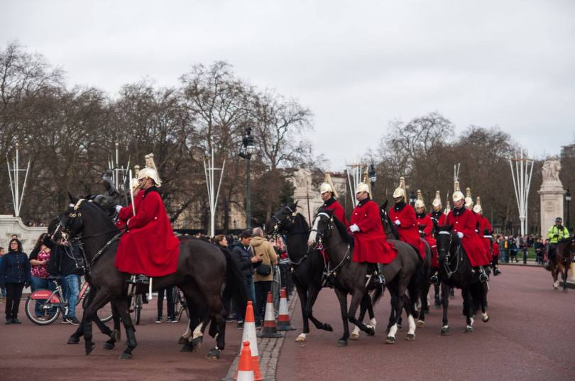 16178454_928000224003215_8718713517748709050_o