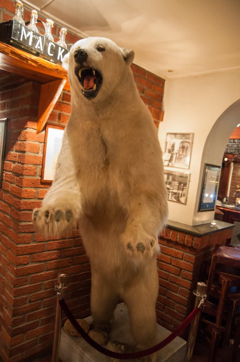 16178696_929168940553010_6468328979157432926_o