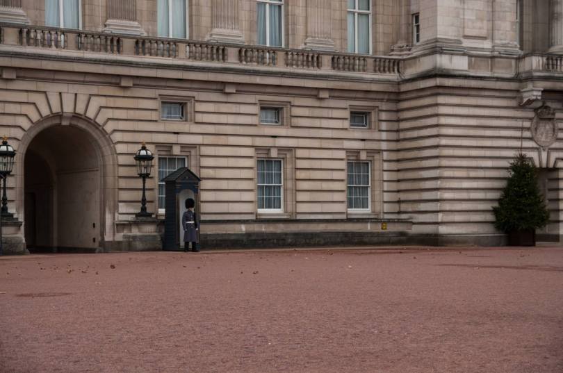 16251877_928001407336430_1334958420564608560_o