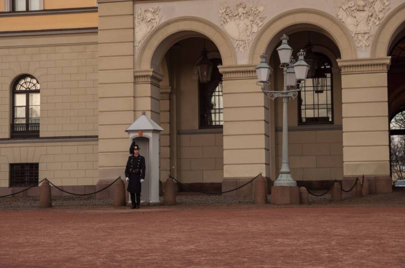 16300051_929167263886511_1389908386300574586_o