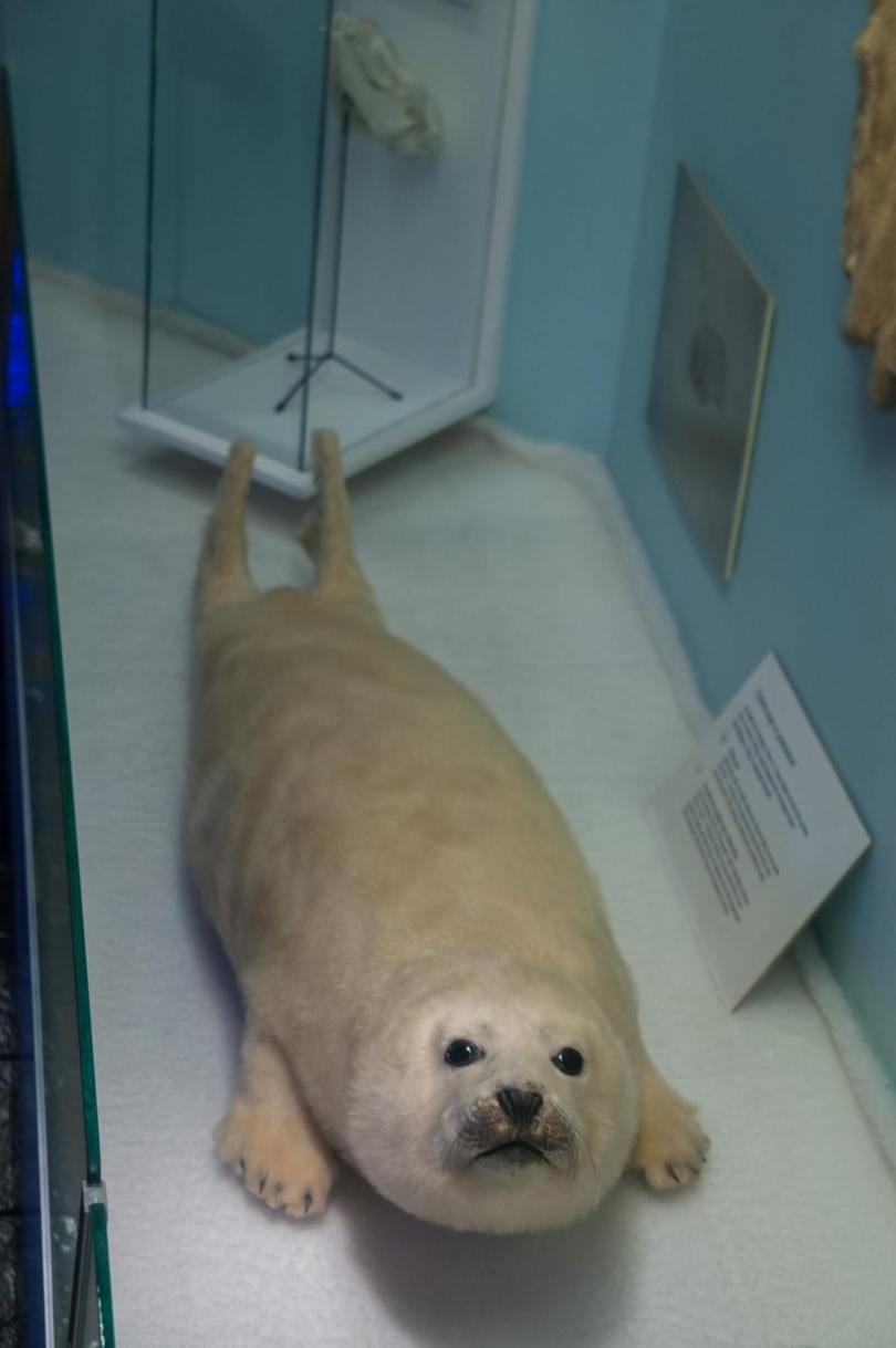 16300165_929167100553194_889089228458160744_o